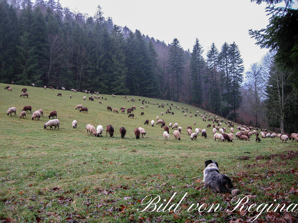 bild-004